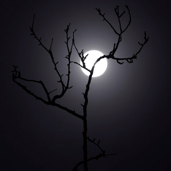 FOTO BLOG 600 moonlight-1